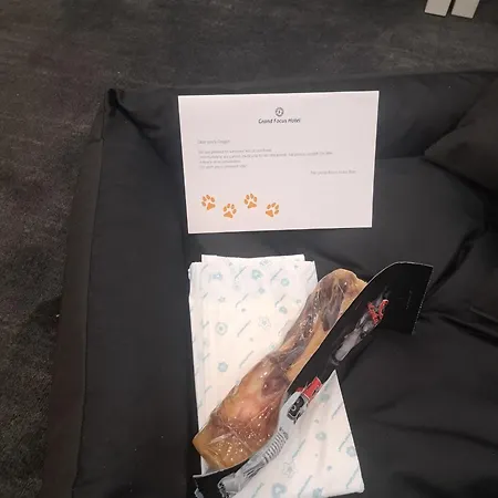 Hotel Grand Focus Stettin