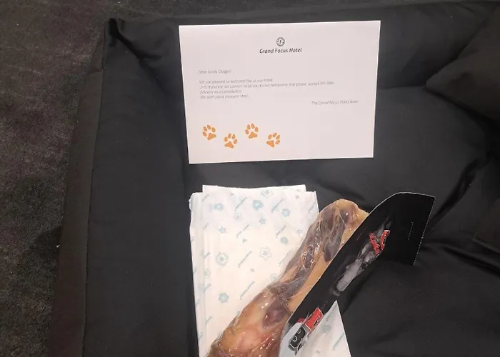 מלון Grand Focus שצ'צ'ין